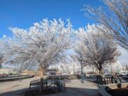 Frosty December 2024 morning at the plaza