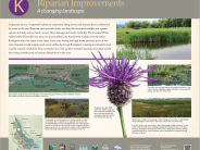 Riparian Improvements