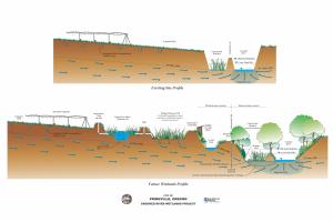 cross section