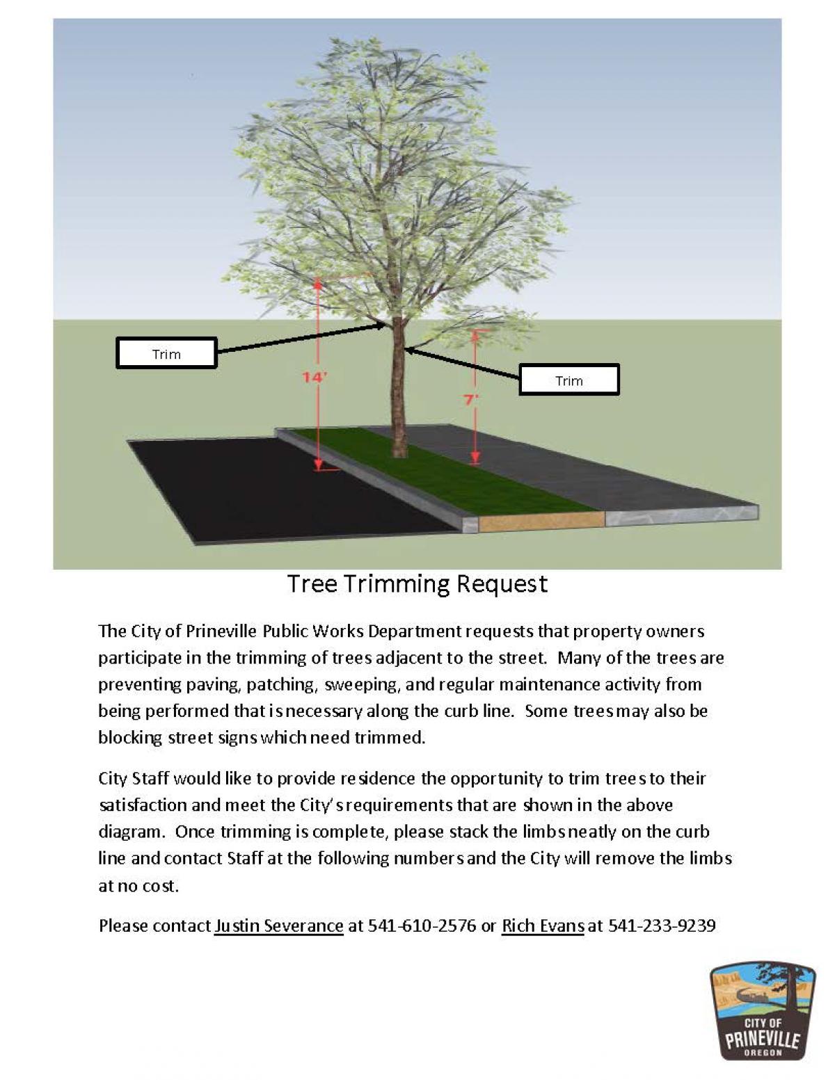 Tree Trimming Flyer
