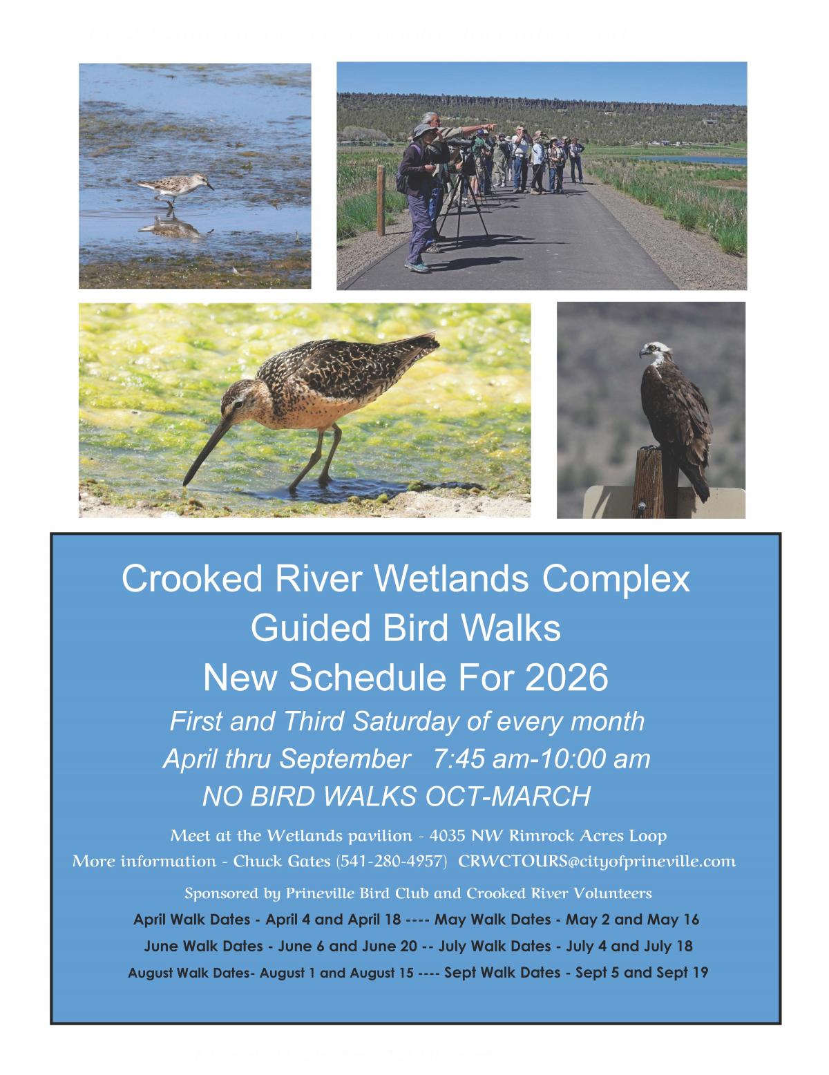 Guided Bird Walks