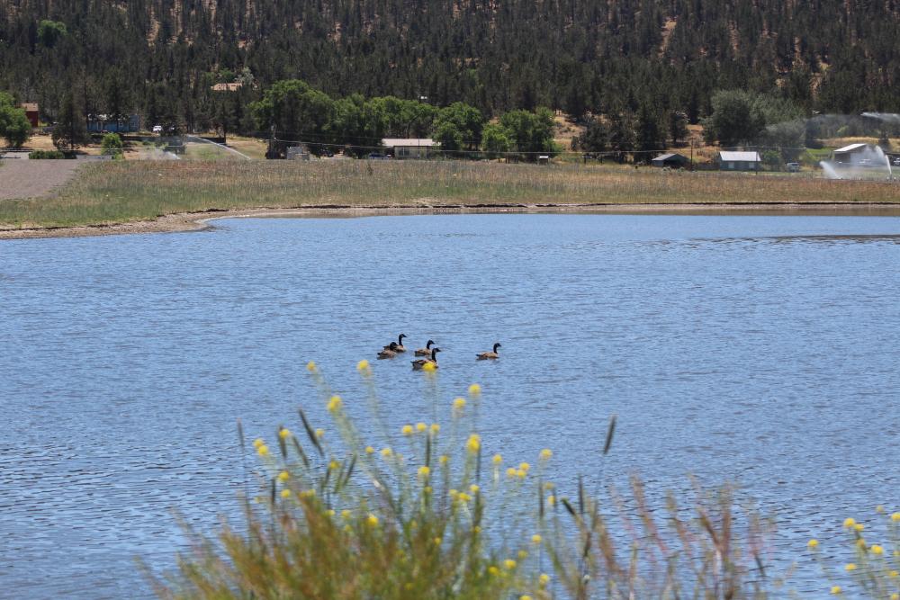 Events at Barnes Butte Recreation Area & Crooked River Wetlands City