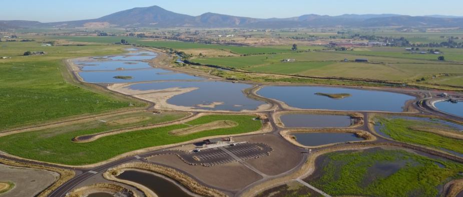 UAV Wetland