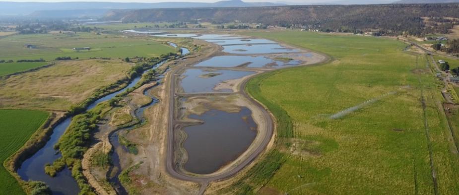 UAV Wetland